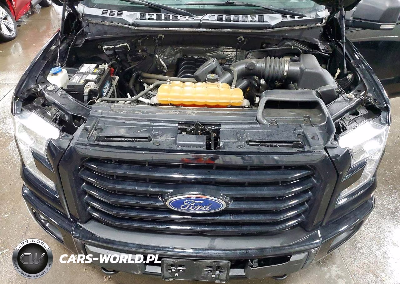 2016 Ford F150 Supercrew VIN:1FTFW1EF7GFA90993 - 11