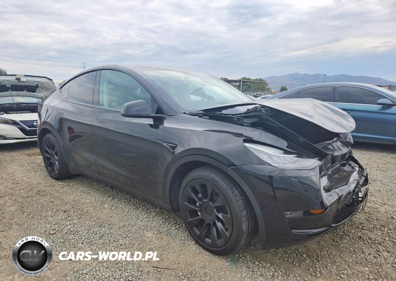 2023 Tesla Model Y VIN:7SAYGDEE4PA026929 - 4