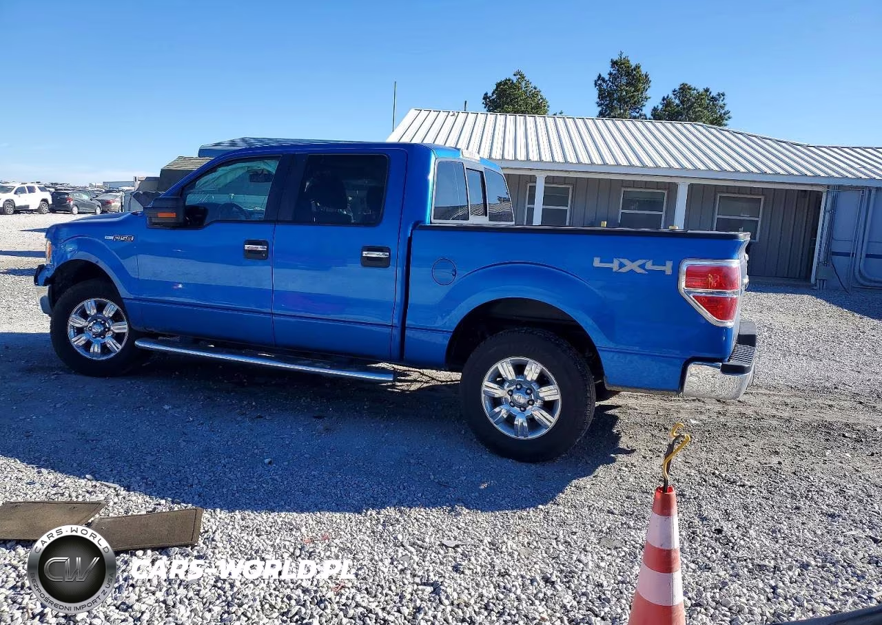 2011 Ford F150 Supercrew VIN:1FTFW1EF4BFD21700 - 2