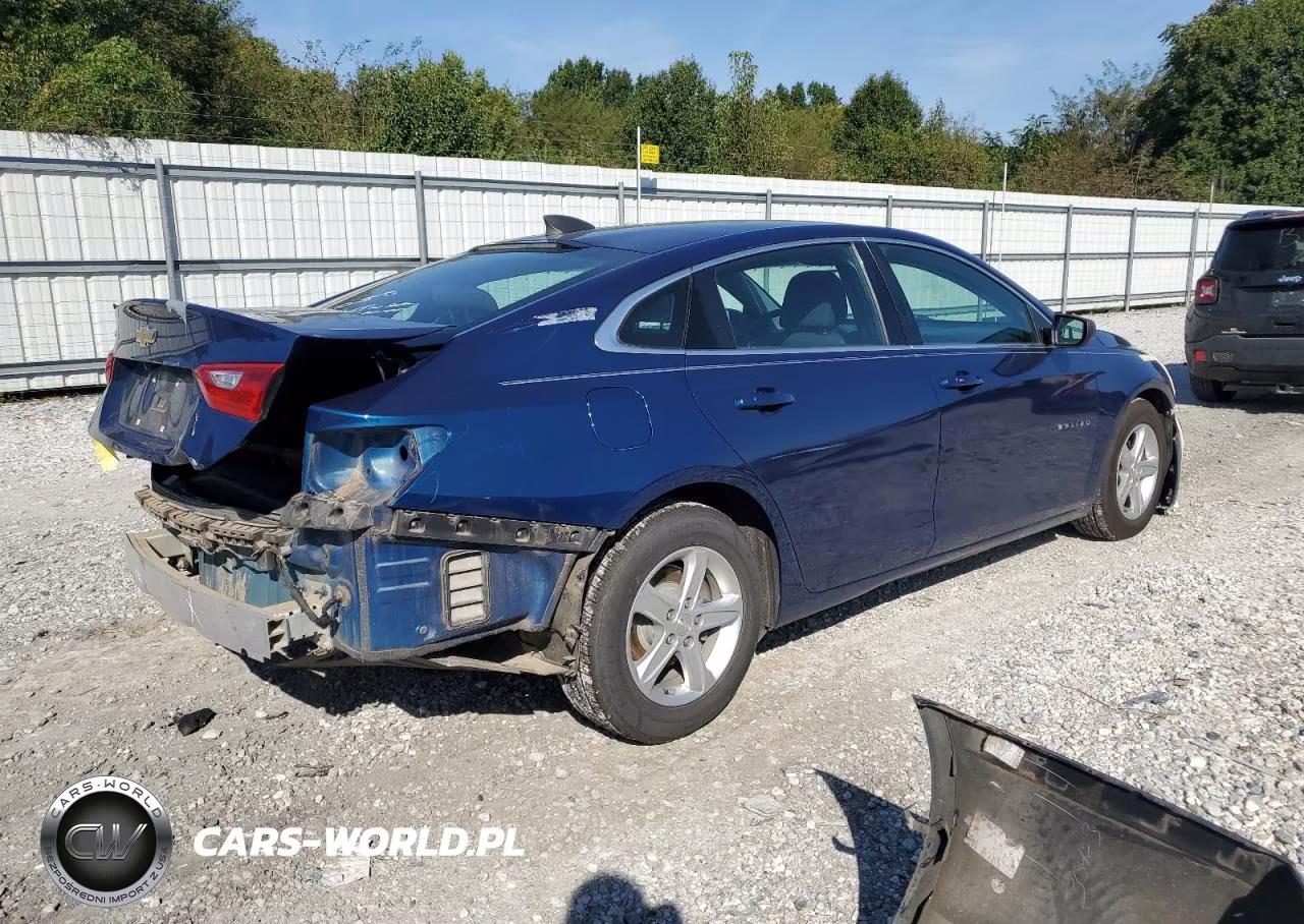 2019 Chevrolet Malibu Ls VIN:1G1ZB5ST4KF128420 - 3