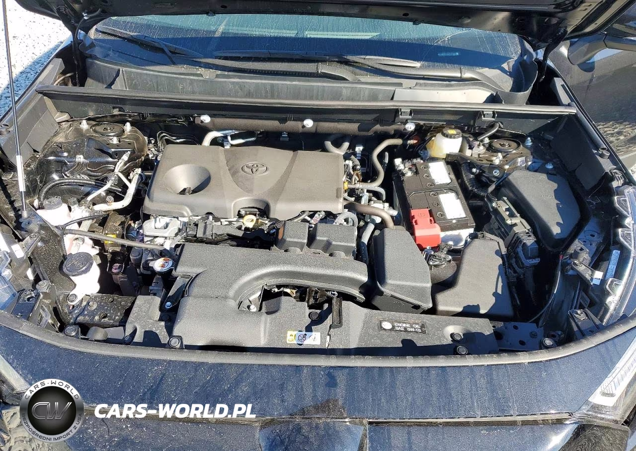 2025 Toyota Rav4 Xle VIN:2T3W1RFV5SC341909 - 12