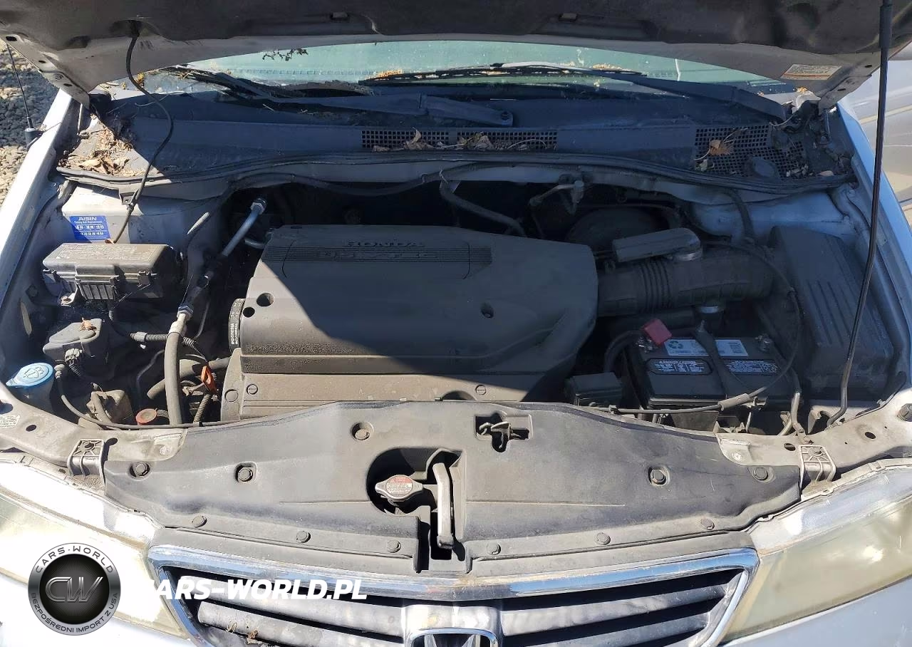 2004 Honda Odyssey Exl VIN:5FNRL18084B131290 - 12