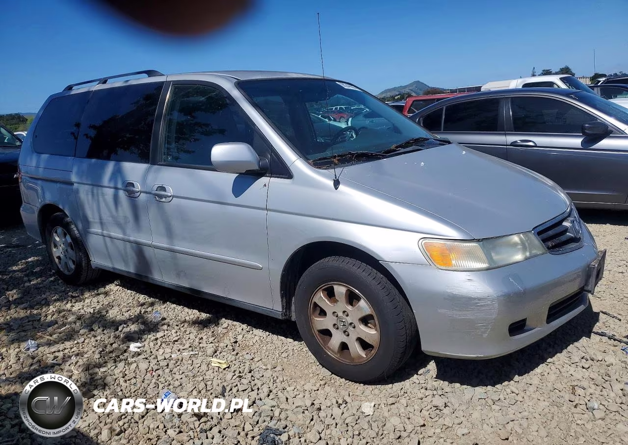 2004 Honda Odyssey Exl VIN:5FNRL18084B131290 - 4