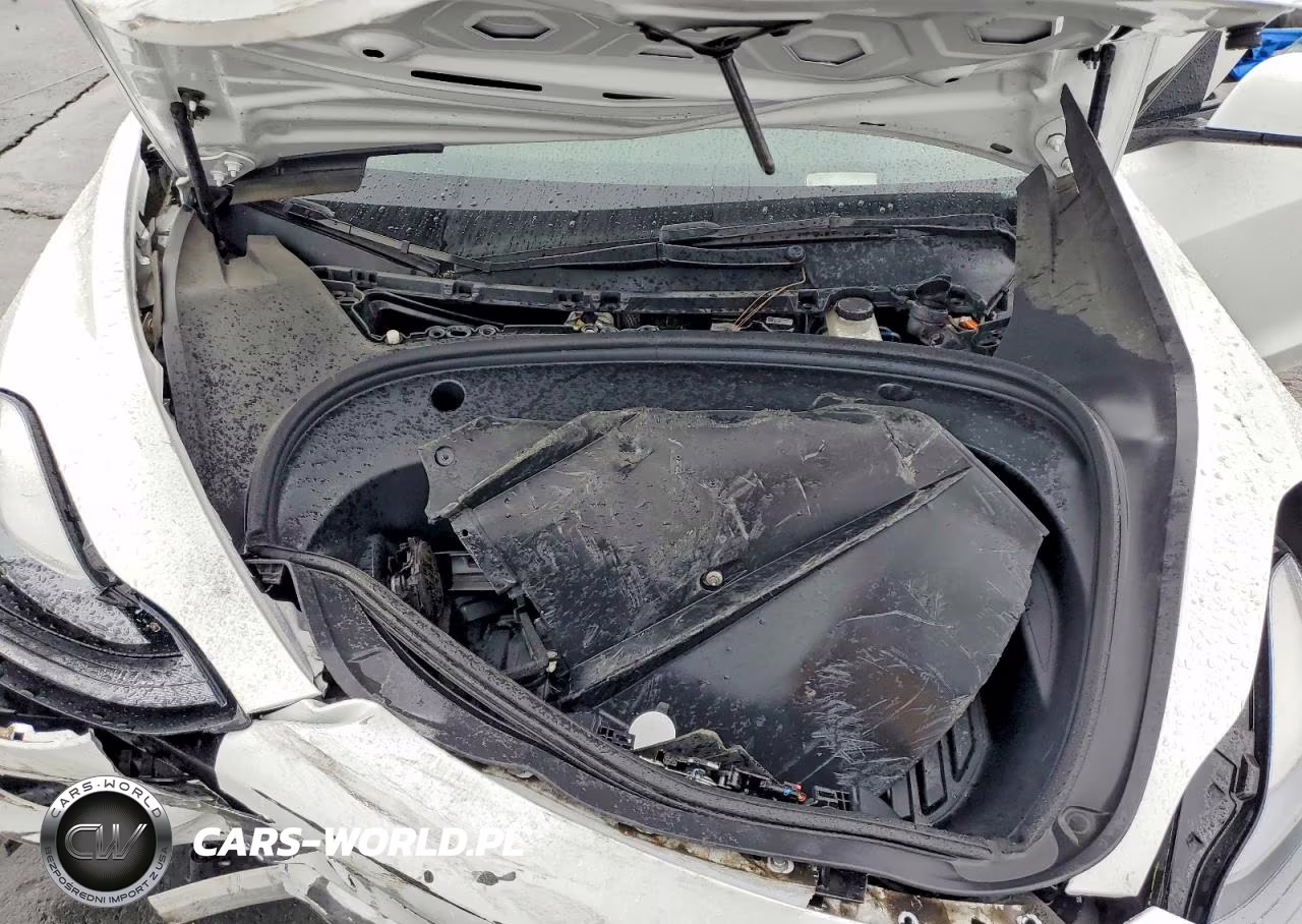 2023 Tesla Model 3 VIN:5YJ3E1EA5PF555527 - 11