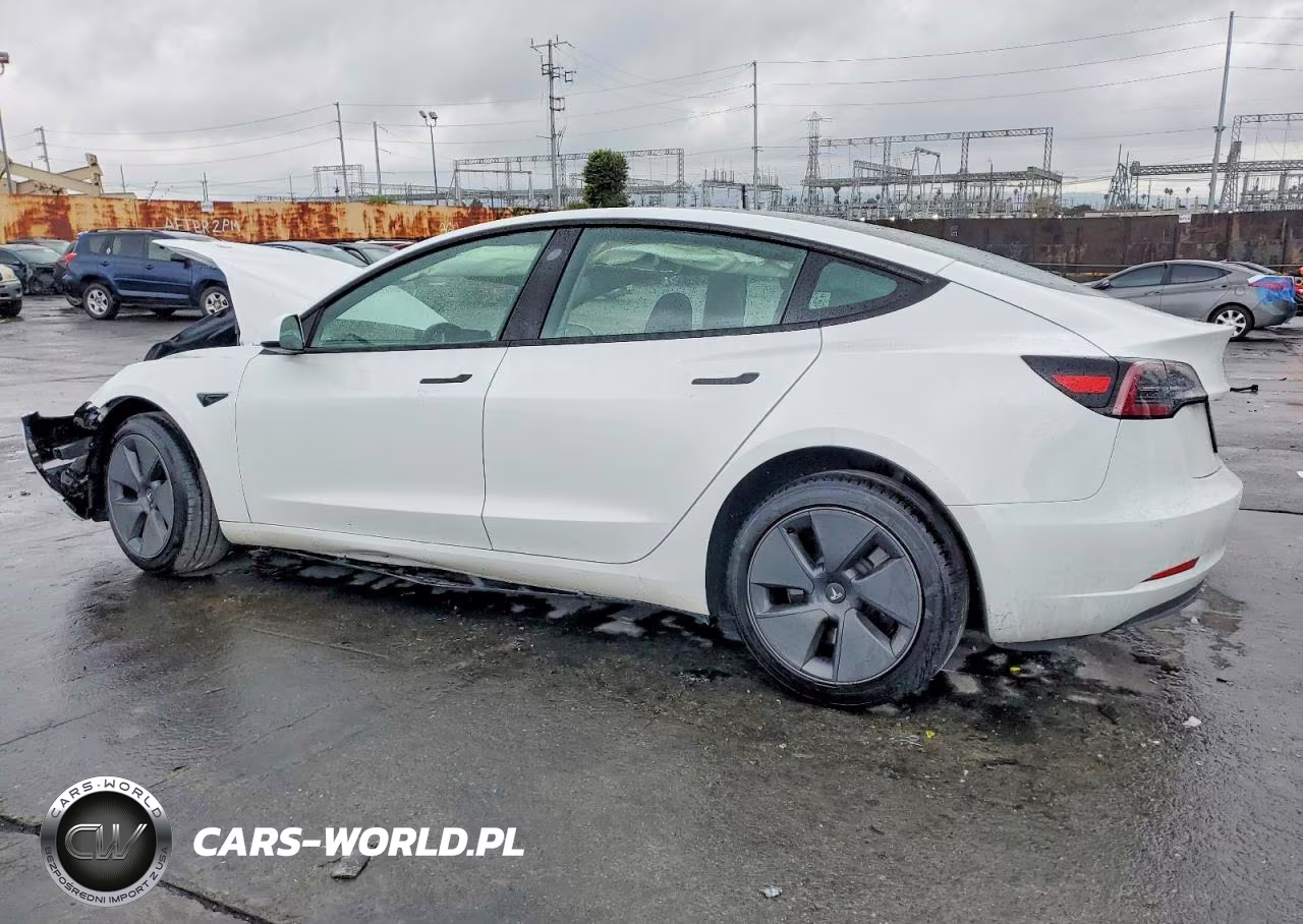 2023 Tesla Model 3 VIN:5YJ3E1EA5PF555527 - 2