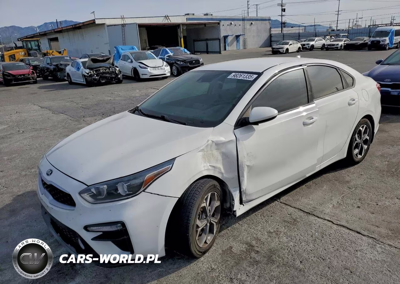 2019 Kia Forte Fe VIN:3KPF24AD3KE083382 - 1
