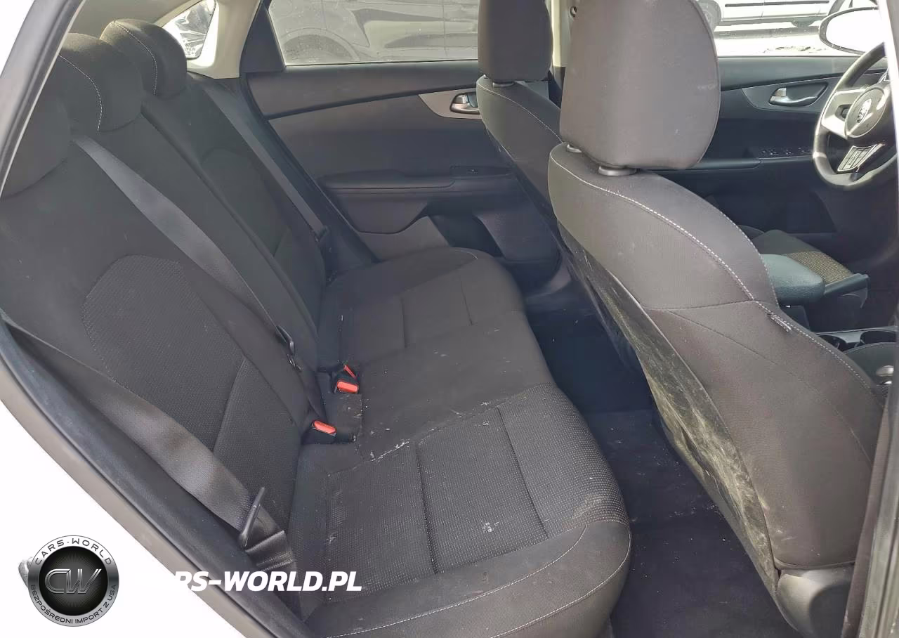 2019 Kia Forte Fe VIN:3KPF24AD3KE083382 - 10