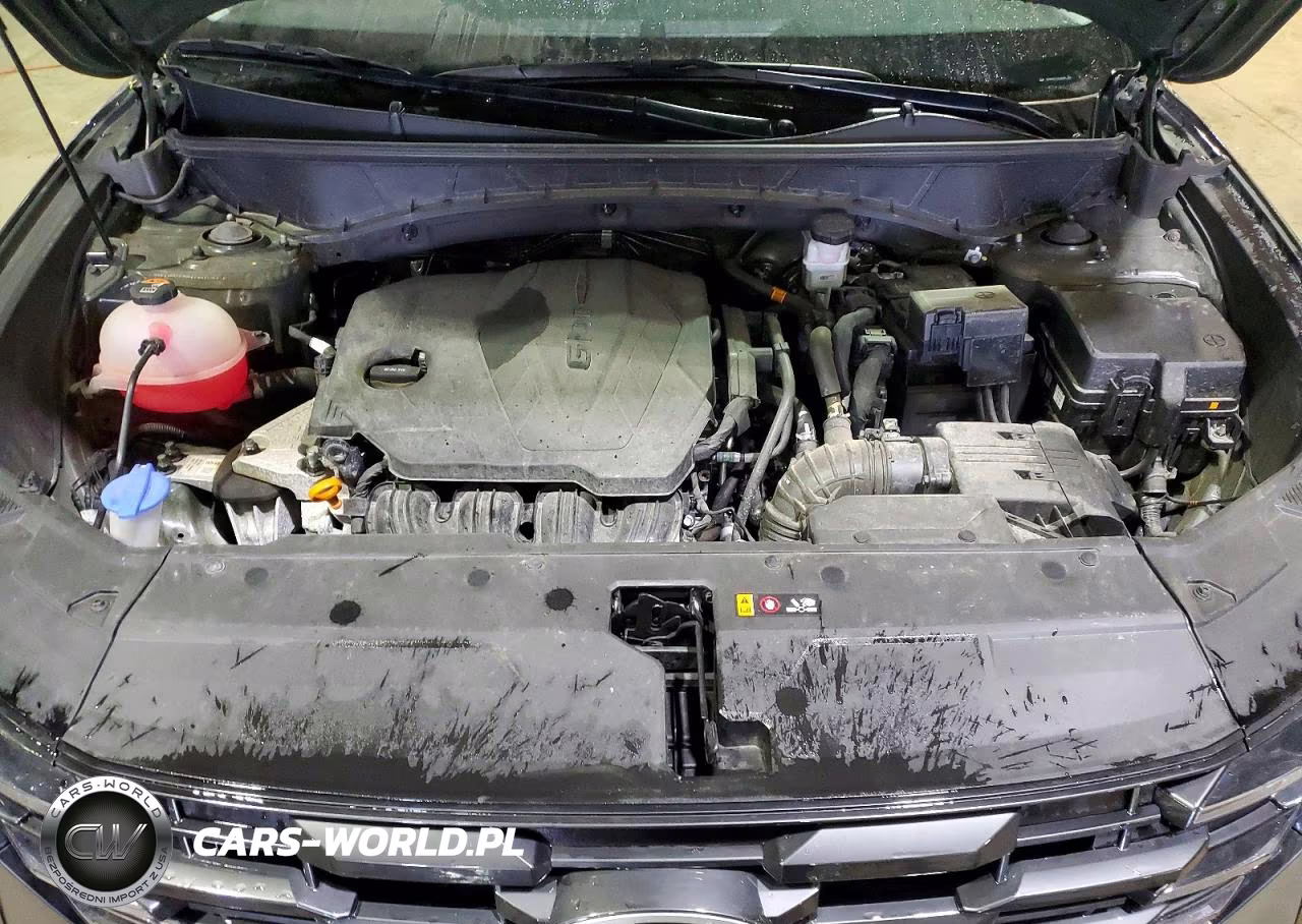 2025 Hyundai Tucson Sel VIN:5NMJBCDE5SH445729 - 12