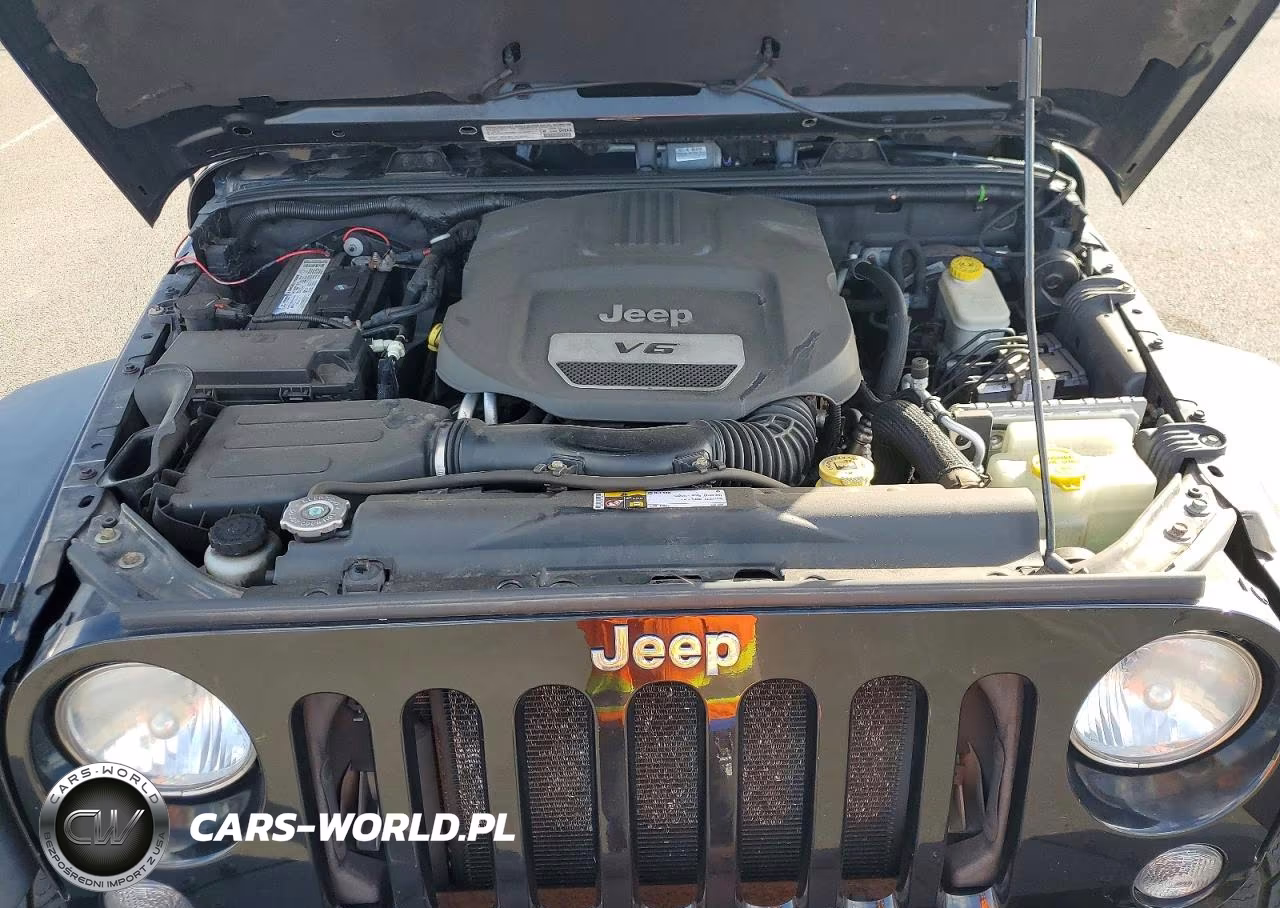 2014 Jeep Wrangler Rubicon VIN:1C4BJWCG1EL225132 - 11