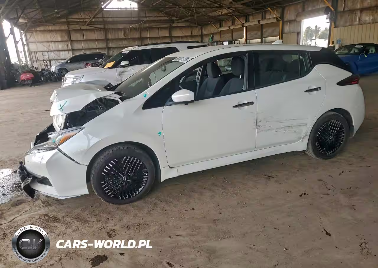 2025 Nissan Leaf Sv Plus