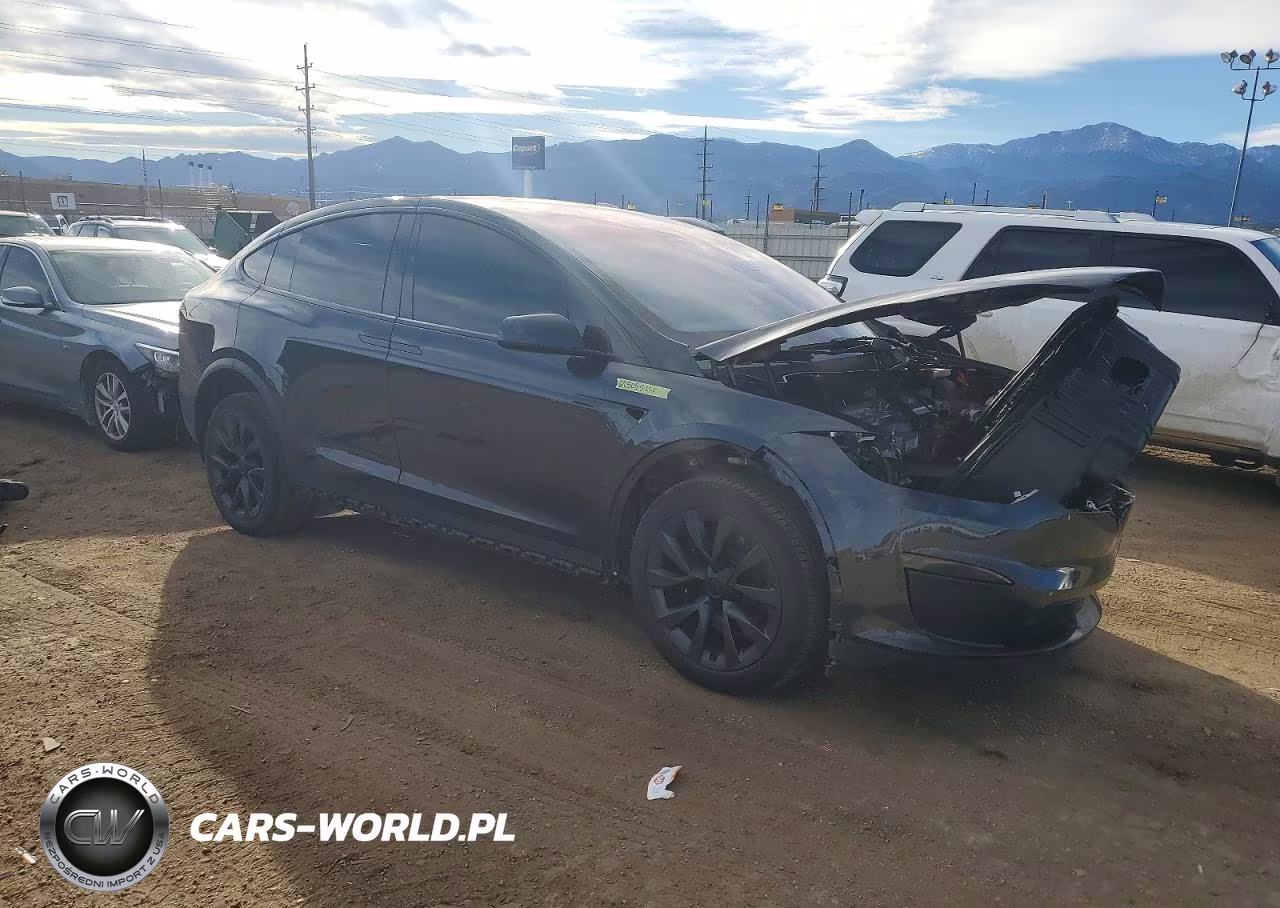 2024 Tesla Model X VIN:7SAXCDE52RF450929 - 4
