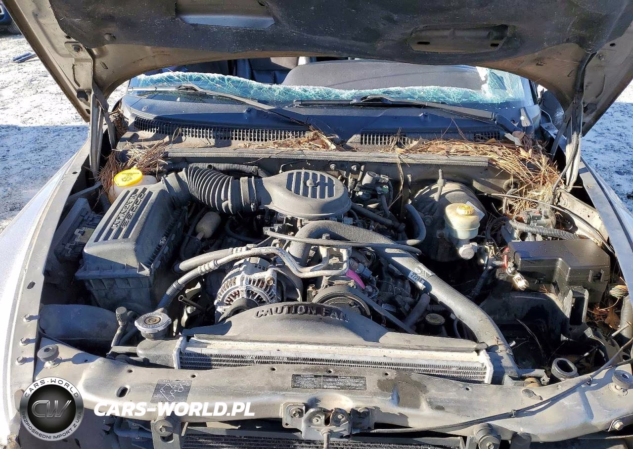 1999 Dodge Durango VIN:1B4HR28Y6XF647523 - 12
