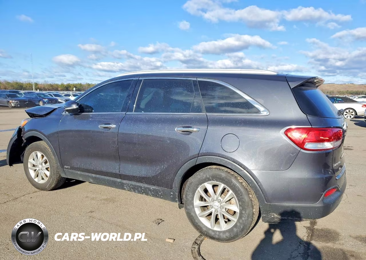 2017 Kia Sorento Lx VIN:5XYPGDA36HG191391 - 2