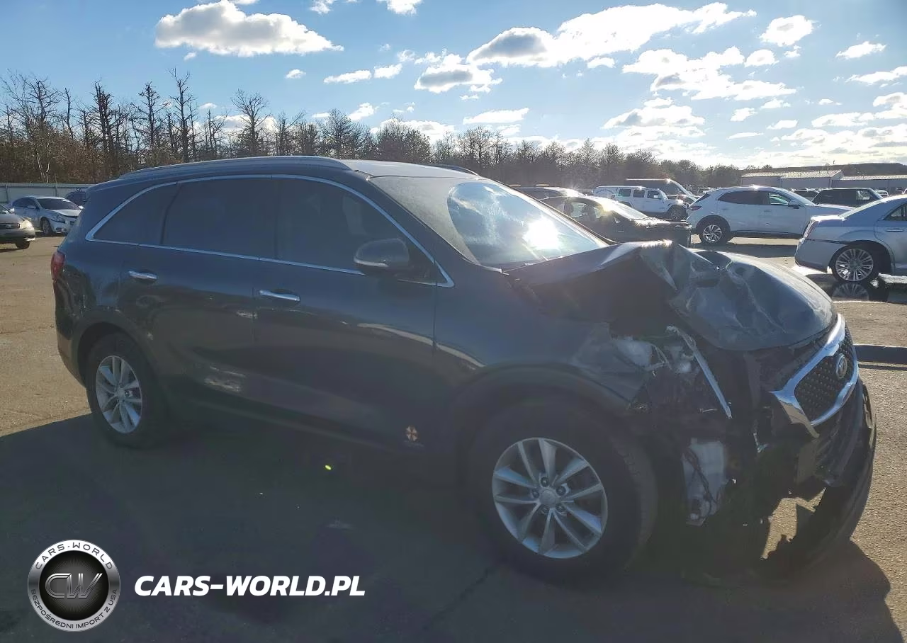 2017 Kia Sorento Lx VIN:5XYPGDA36HG191391 - 4