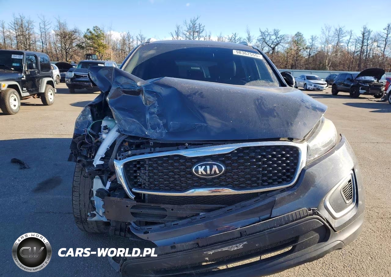 2017 Kia Sorento Lx VIN:5XYPGDA36HG191391 - 5