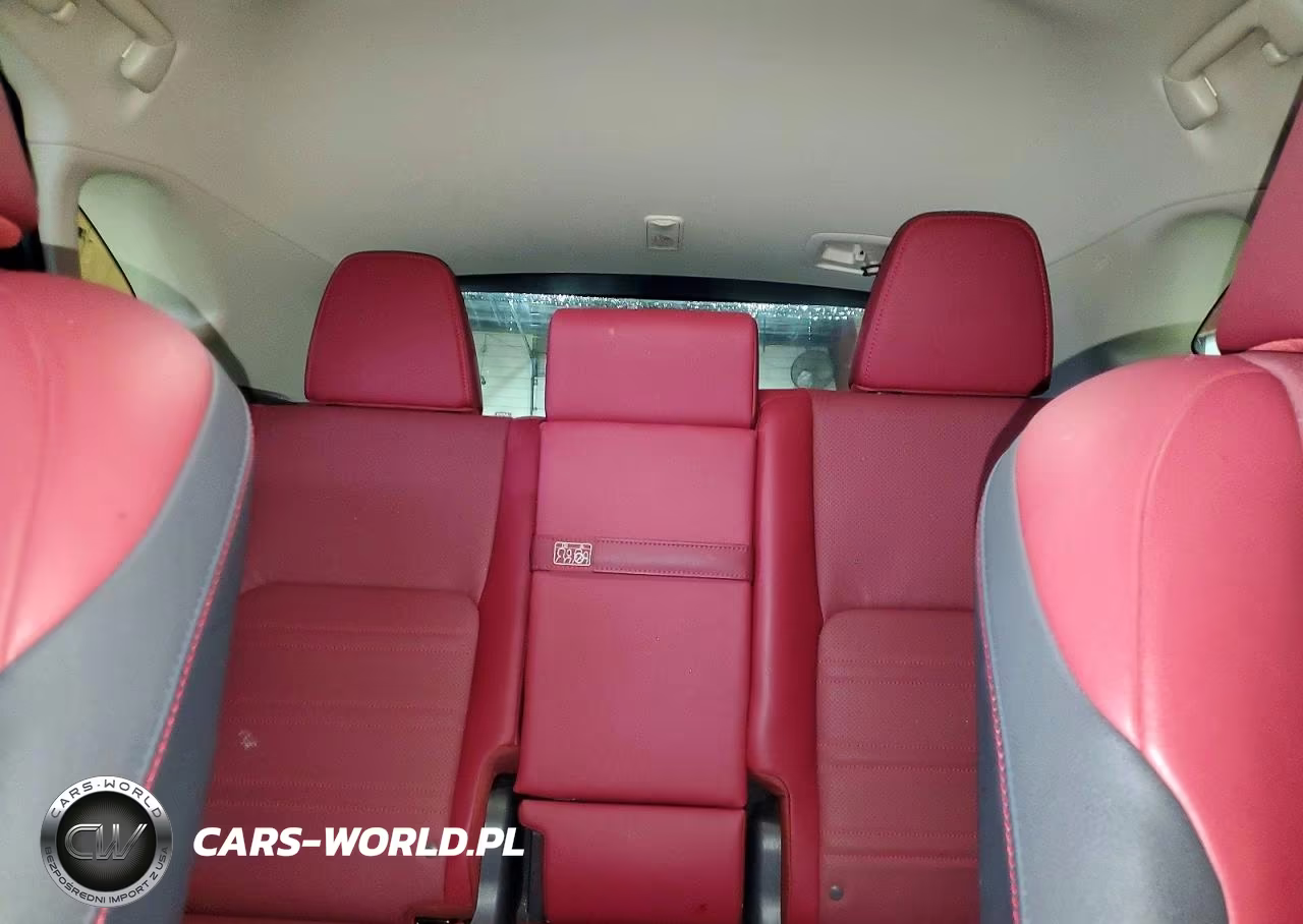 2020 Lexus Nx 300 VIN:JTJGARDZ6L5000419 - 10