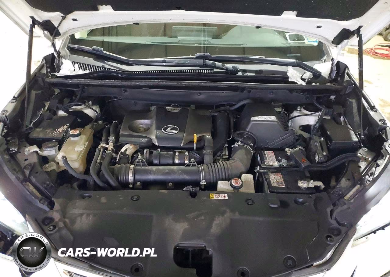 2020 Lexus Nx 300 VIN:JTJGARDZ6L5000419 - 12