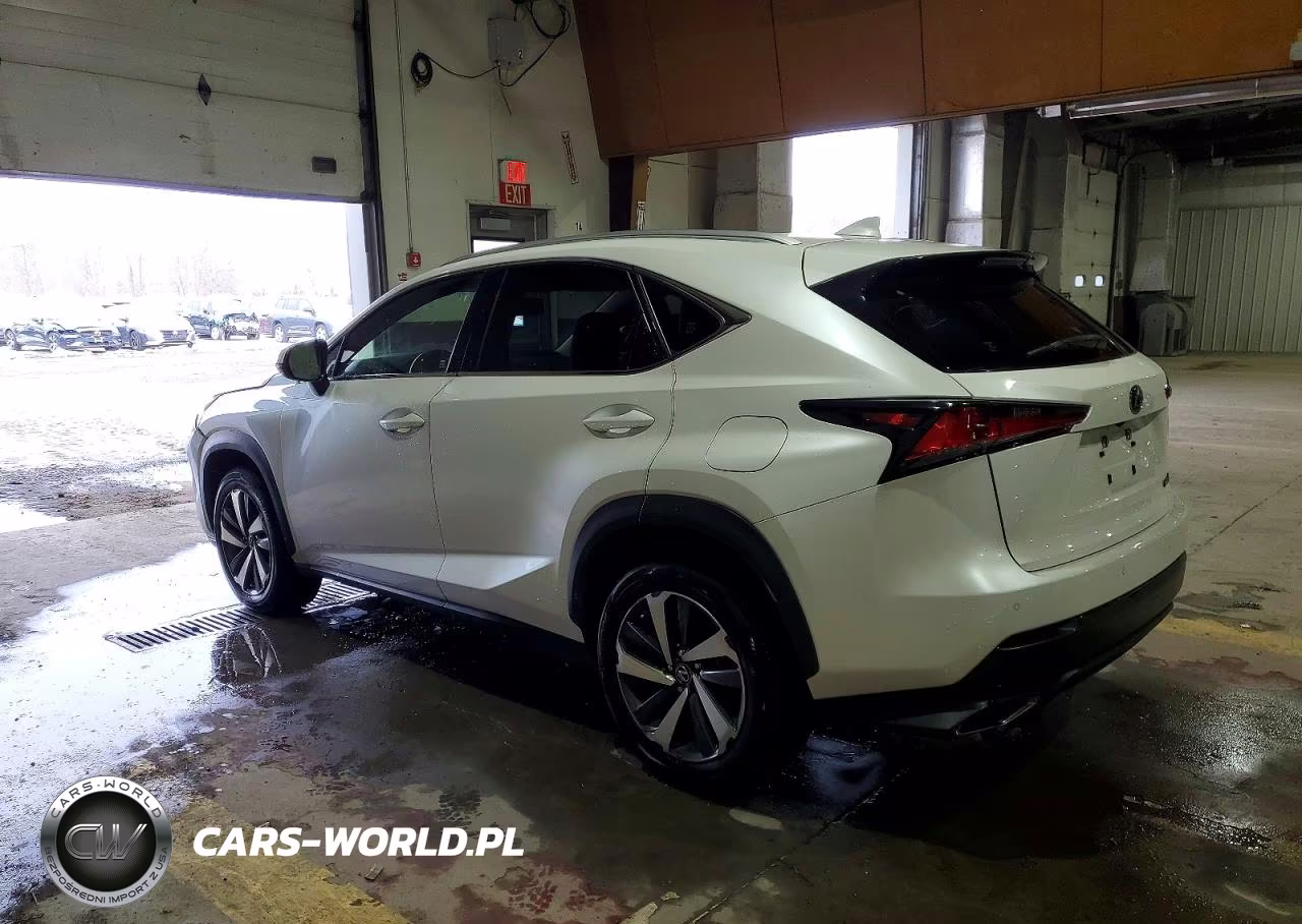 2020 Lexus Nx 300 VIN:JTJGARDZ6L5000419 - 2