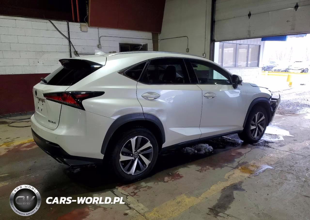 2020 Lexus Nx 300 VIN:JTJGARDZ6L5000419 - 3