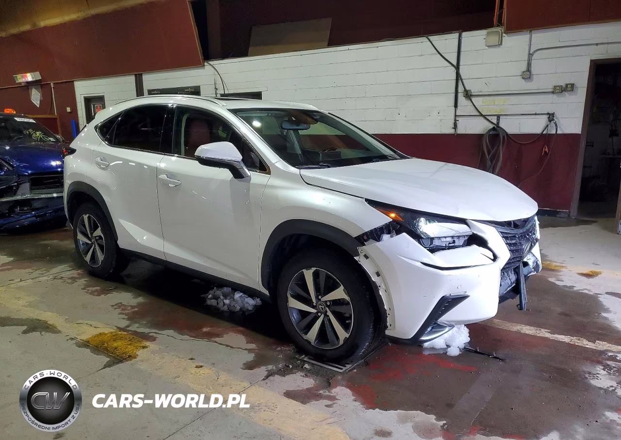 2020 Lexus Nx 300 VIN:JTJGARDZ6L5000419 - 4