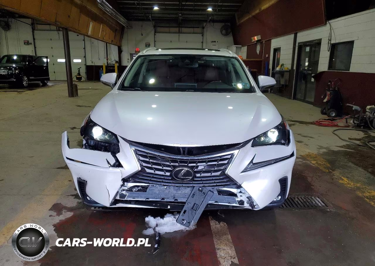 2020 Lexus Nx 300 VIN:JTJGARDZ6L5000419 - 5