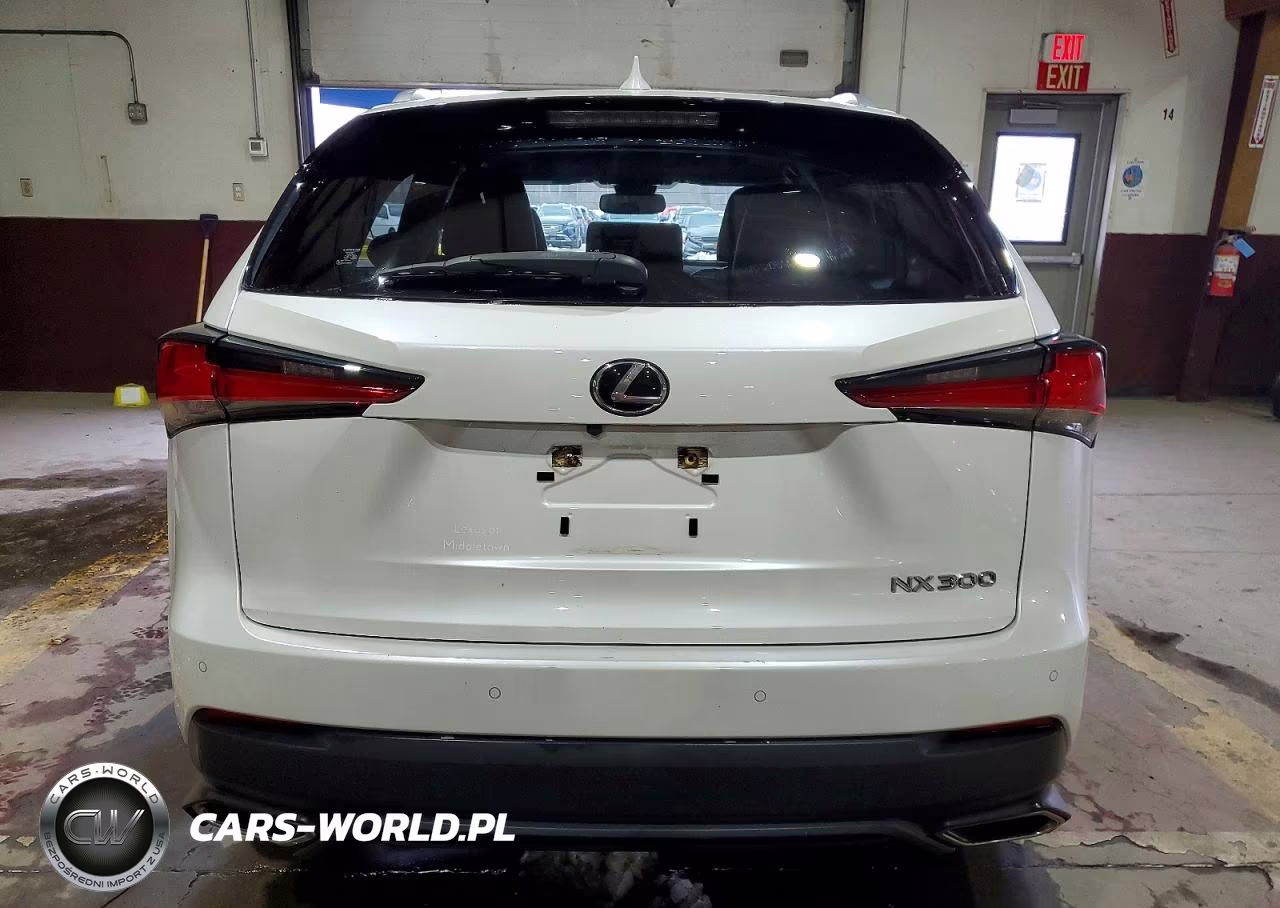 2020 Lexus Nx 300 VIN:JTJGARDZ6L5000419 - 6