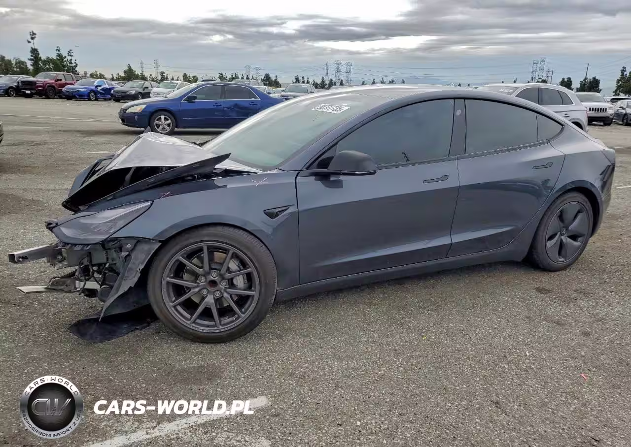 2019 Tesla Model 3
