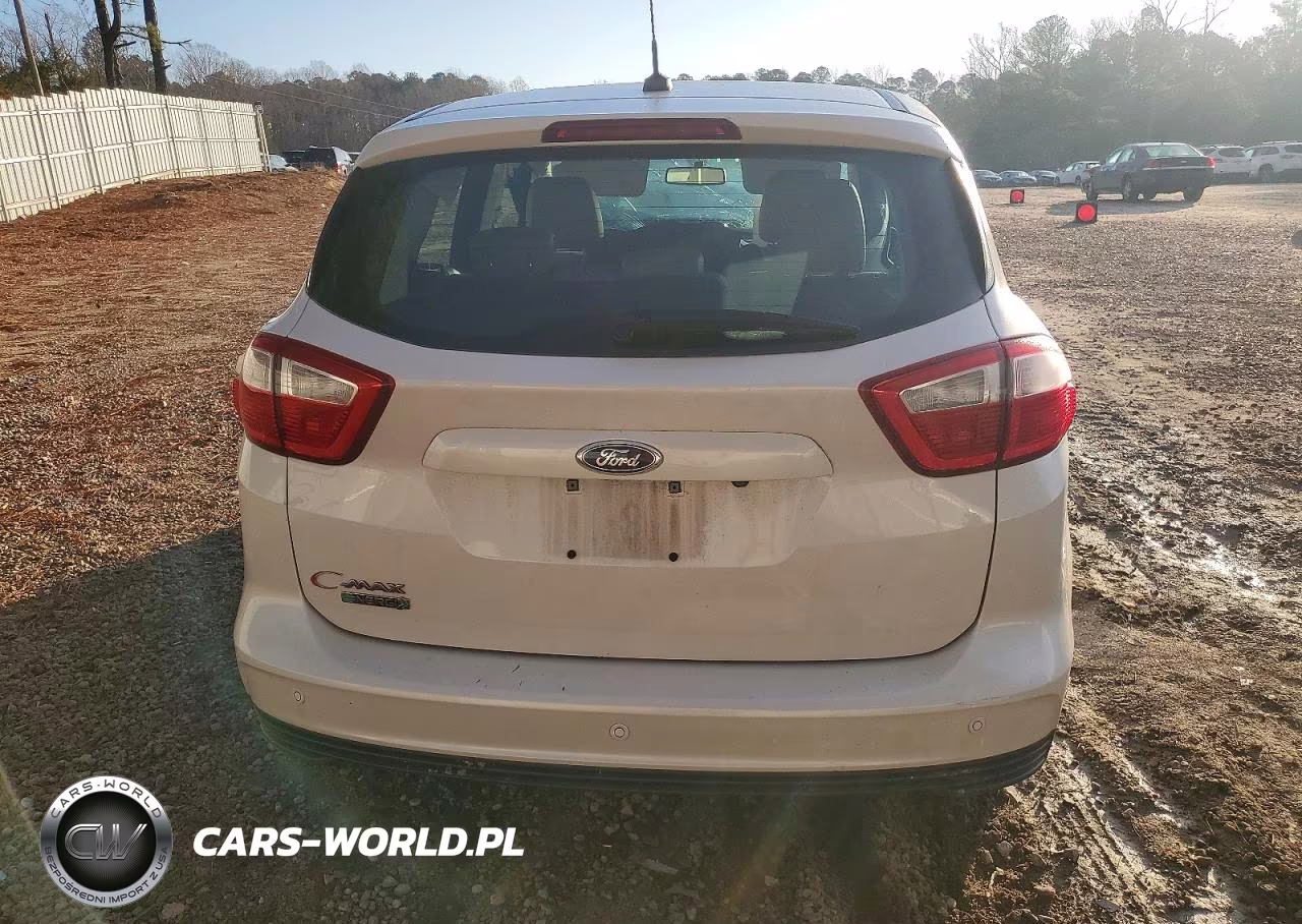 2015 Ford C-Max Premium Sel VIN:1FADP5CU1FL100596 - 6