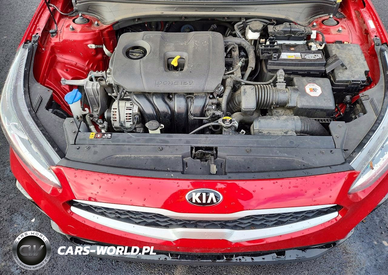 2019 Kia Forte VIN:3KPF24AD3KE017544 - 11