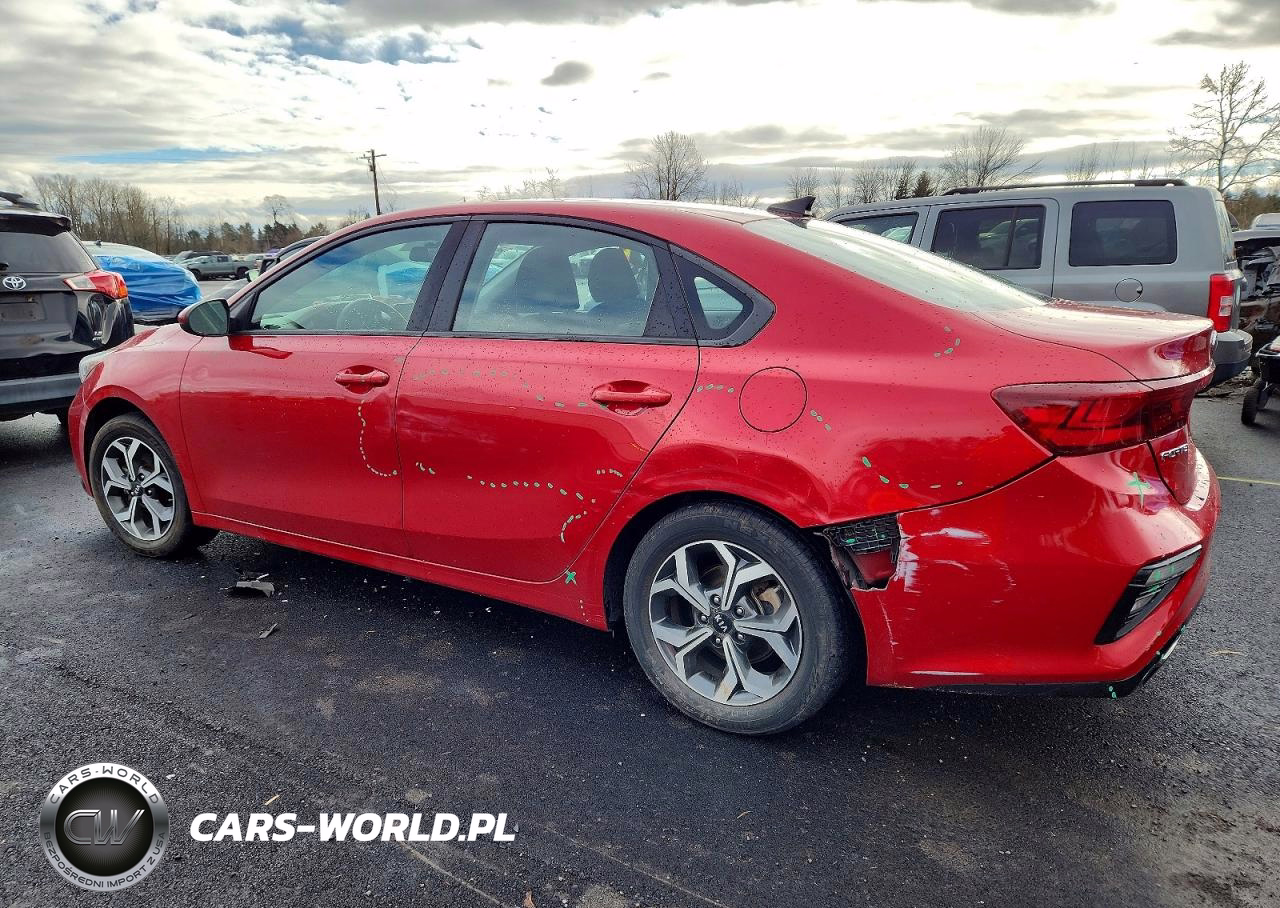2019 Kia Forte VIN:3KPF24AD3KE017544 - 2