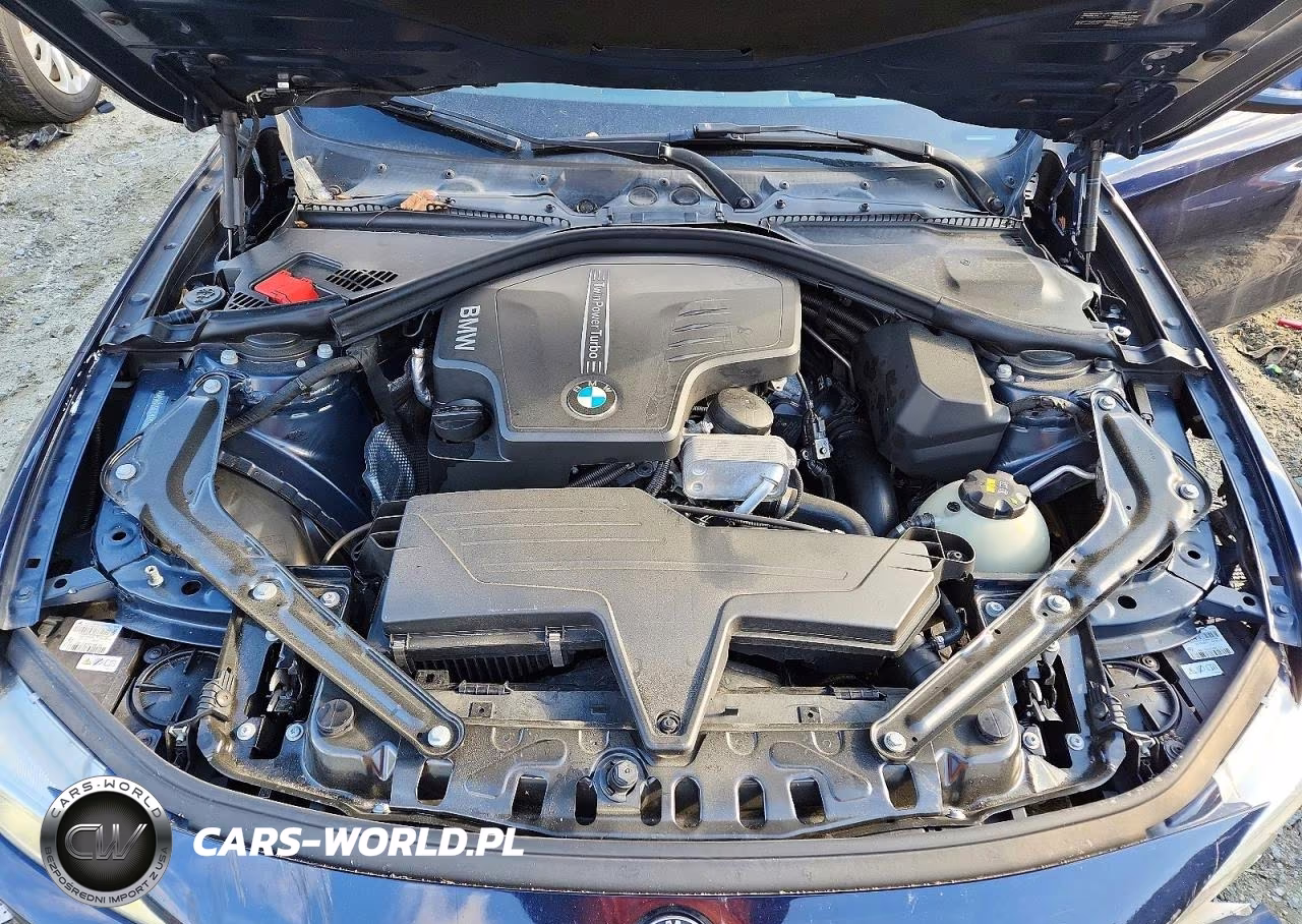 2015 BMW 428 Xi VIN:WBA3V9C52FP799030 - 11