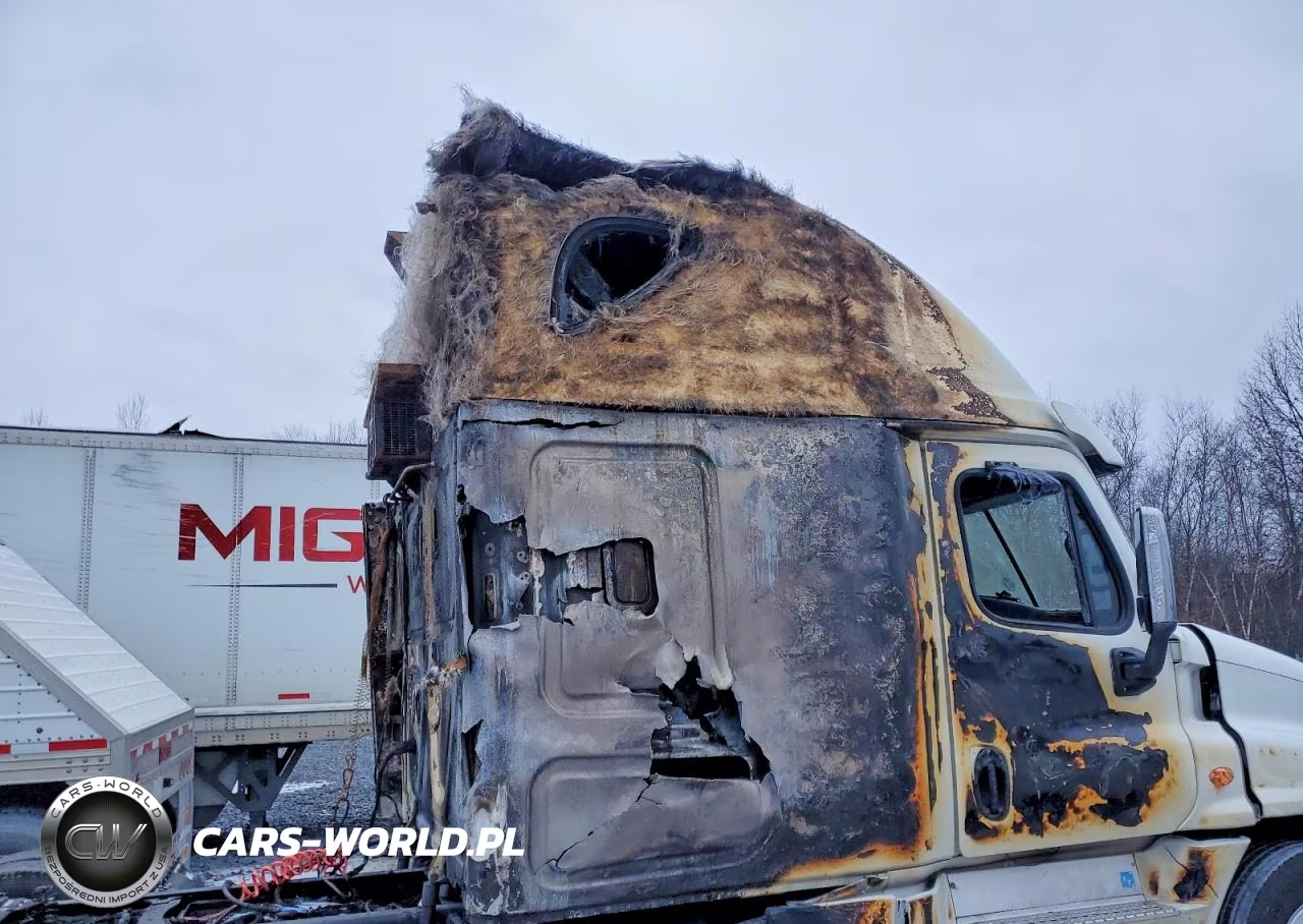 2015 Freightliner Cascadia Semi Truck VIN:3AKGGLDV8FSGS4606 - 10