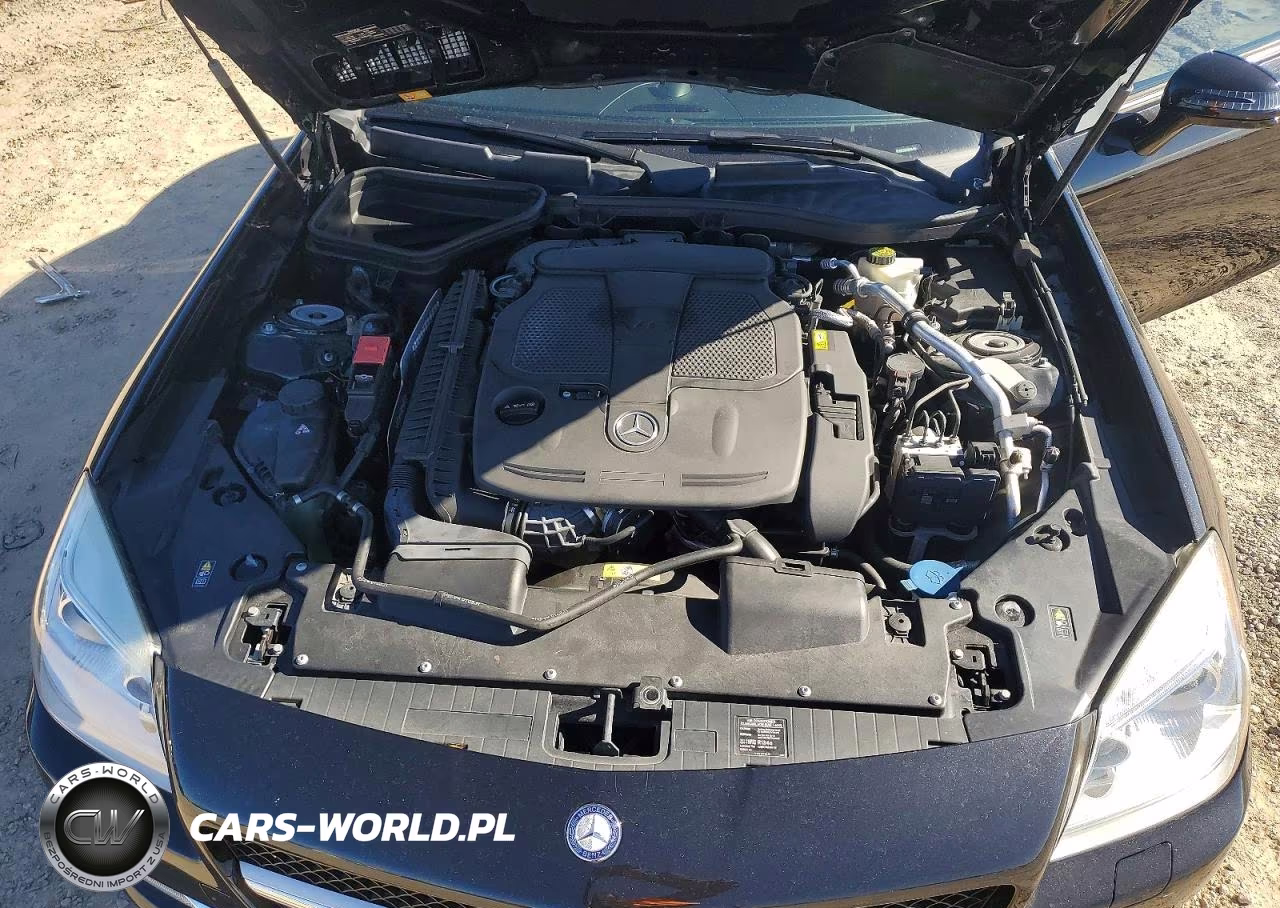 2013 Mercedes-Benz Slk 350 VIN:WDDPK5HAXDF061951 - 11
