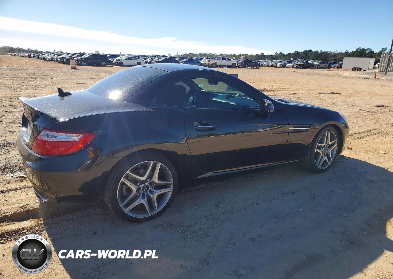 2013 Mercedes-Benz Slk 350 VIN:WDDPK5HAXDF061951 - 3