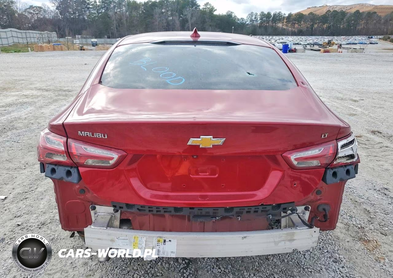 2023 Chevrolet Malibu Premier VIN:1G1ZE5ST8PF136941 - 6