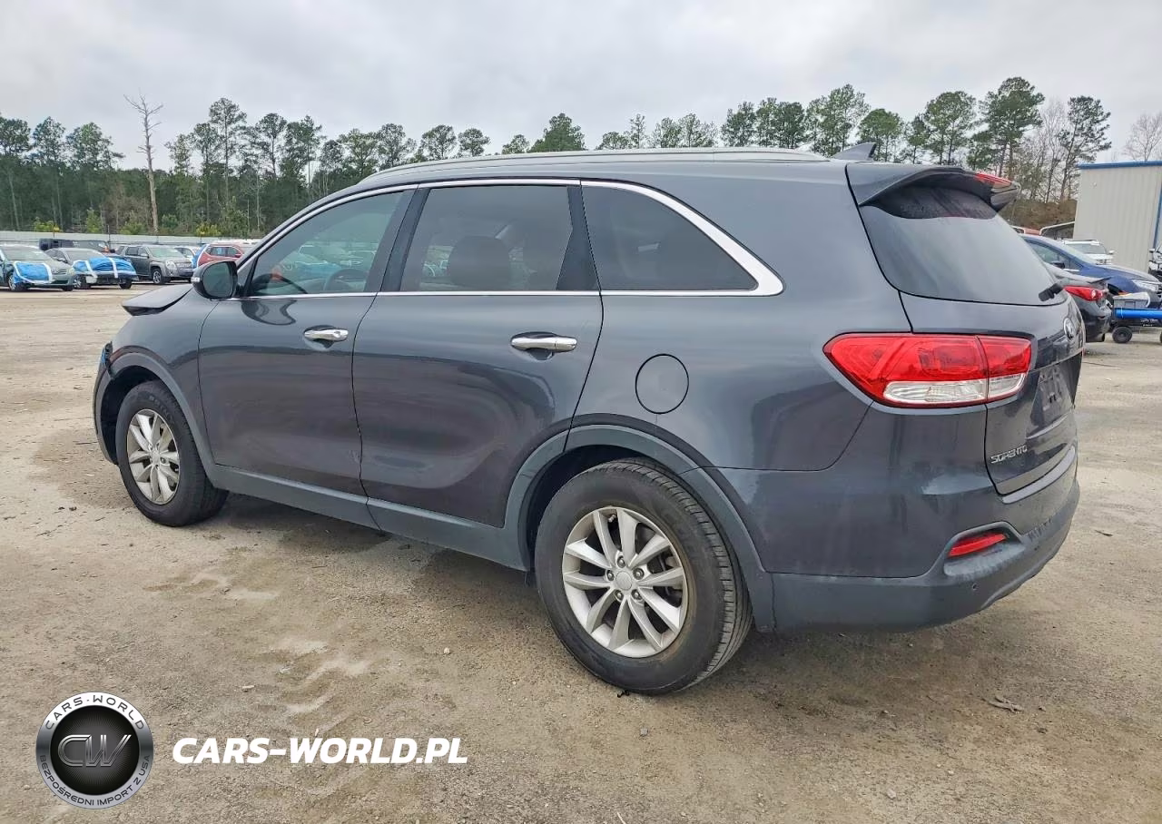 2016 Kia Sorento Lx VIN:5XYPG4A39GG157430 - 2