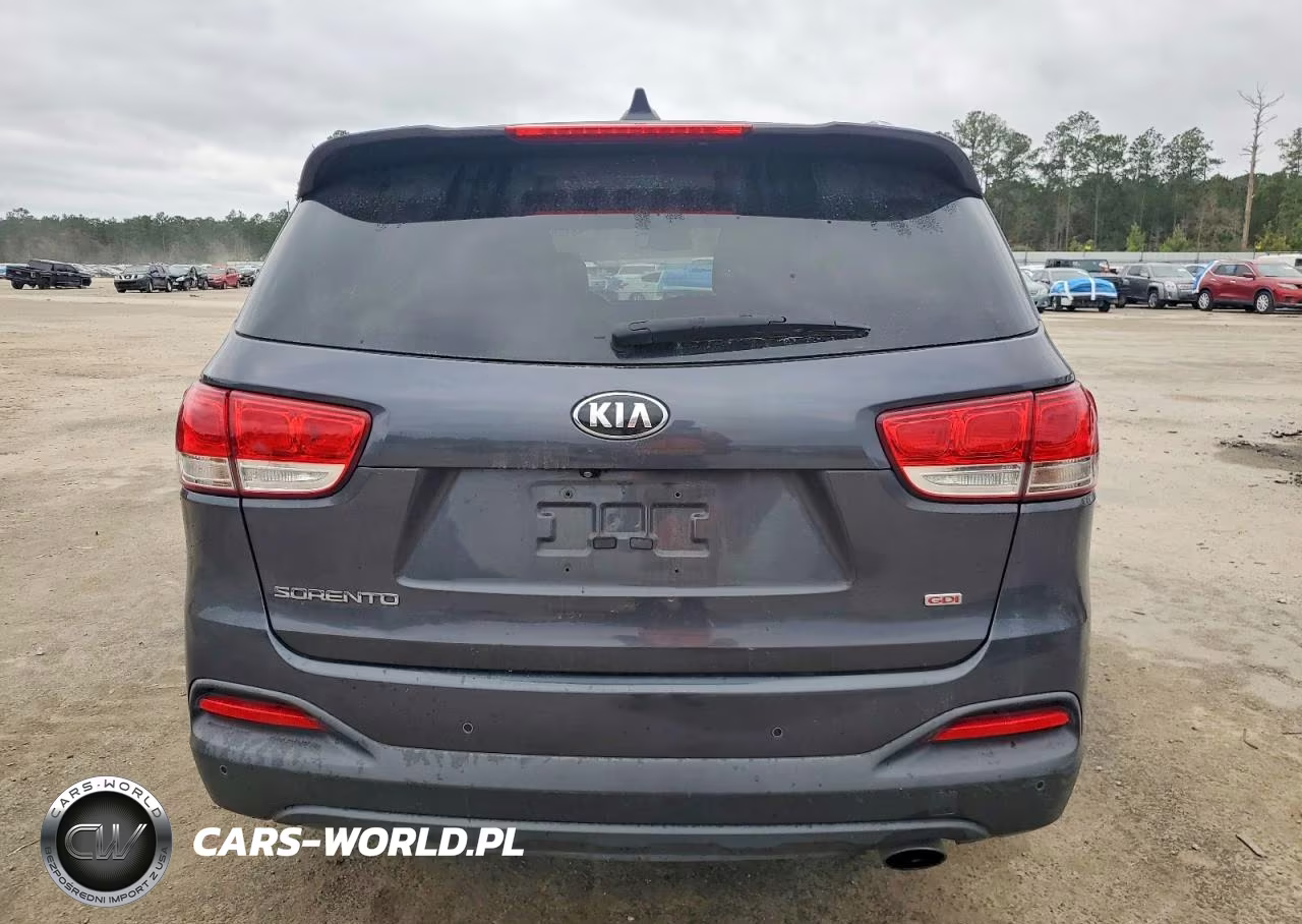 2016 Kia Sorento Lx VIN:5XYPG4A39GG157430 - 6