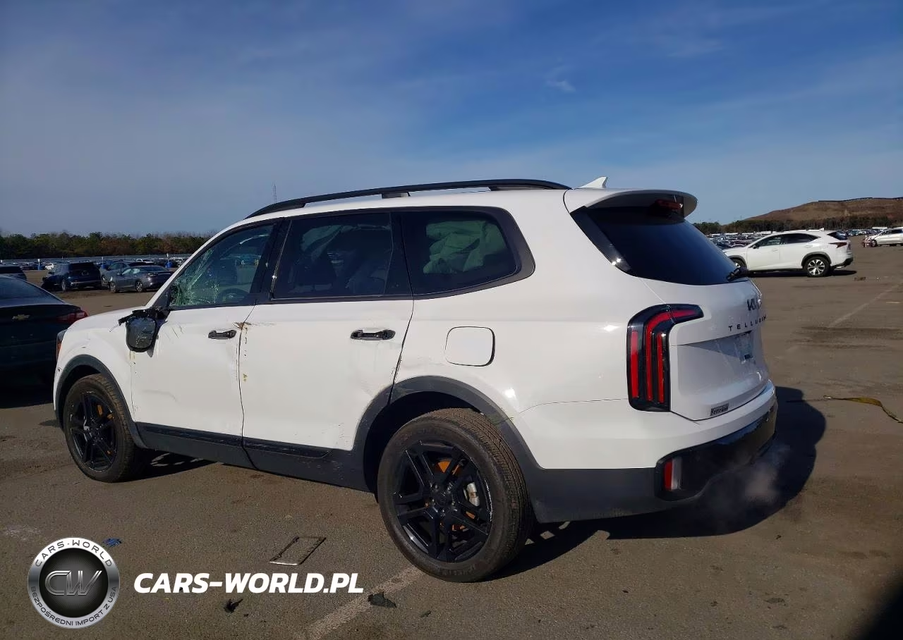 2025 Kia Telluride Sx VIN:5XYP5DGC2SG618862 - 2