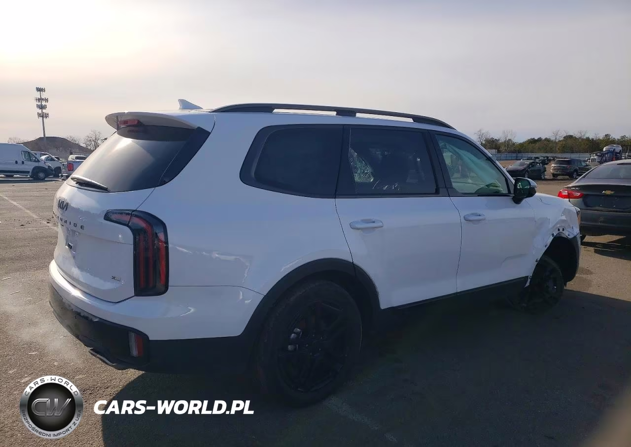 2025 Kia Telluride Sx VIN:5XYP5DGC2SG618862 - 3