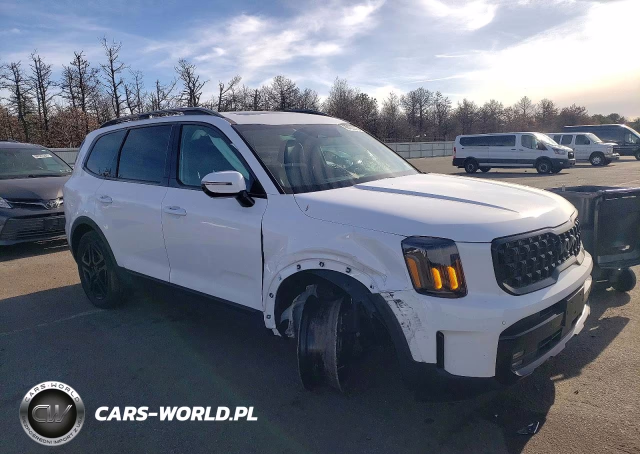 2025 Kia Telluride Sx VIN:5XYP5DGC2SG618862 - 4
