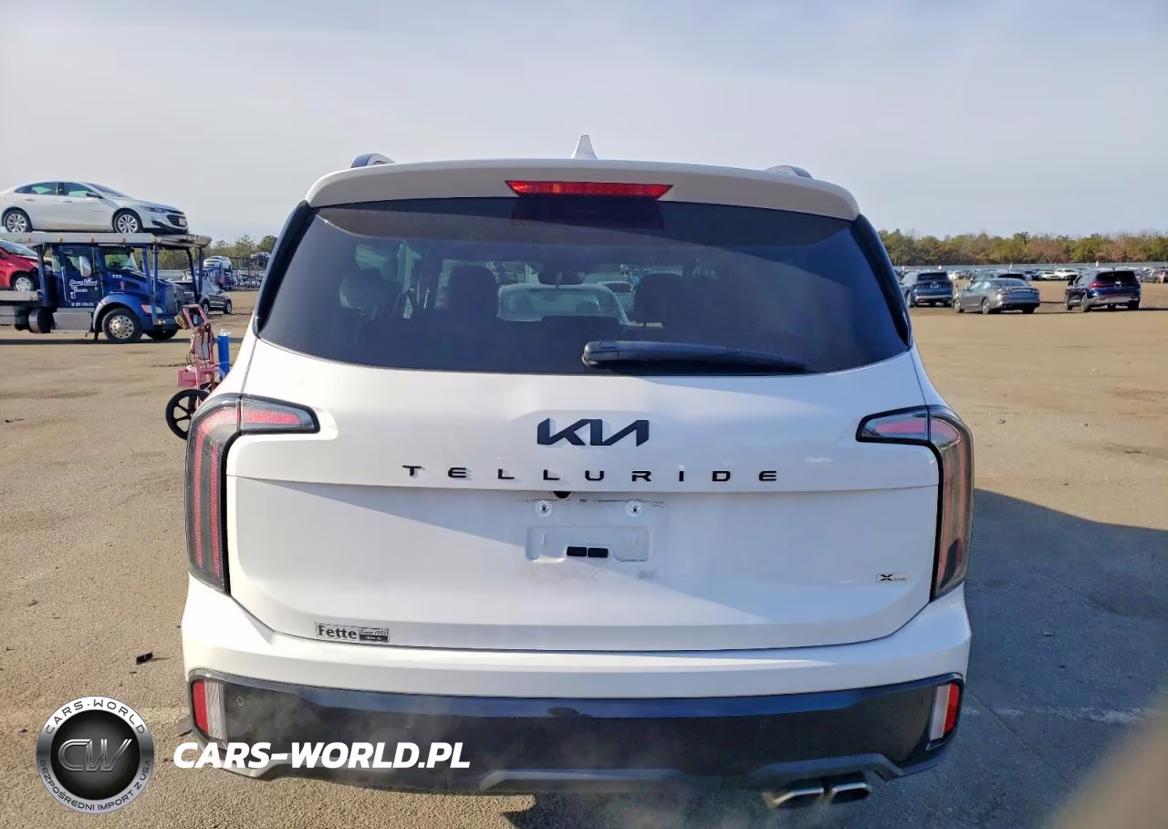 2025 Kia Telluride Sx VIN:5XYP5DGC2SG618862 - 6