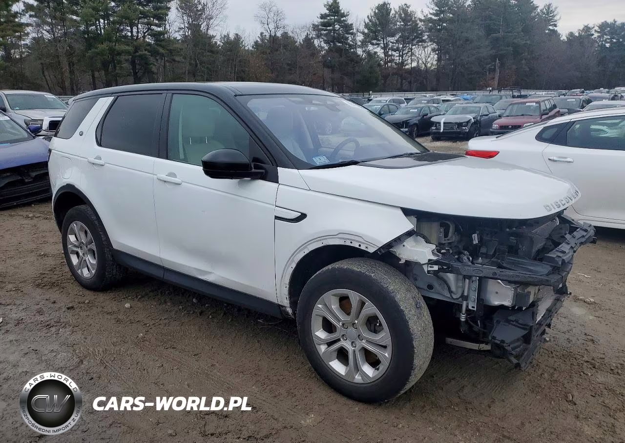 2021 Land Rover Discovery Sport S VIN:SALCJ2FX4MH901141 - 4