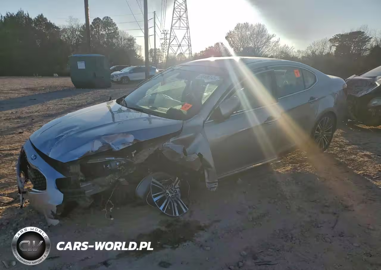 2014 Kia Cadenza Premium