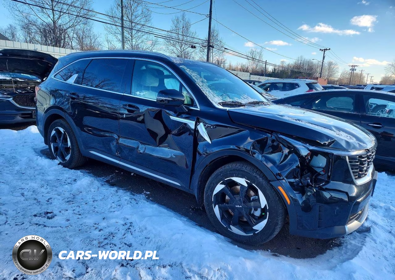2025 Kia Sorento Sx Prestige VIN:KNDRMDJH3S5345097 - 4