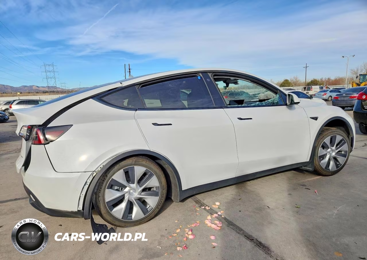 2022 Tesla Model Y VIN:7SAYGDEE3NF466611 - 3