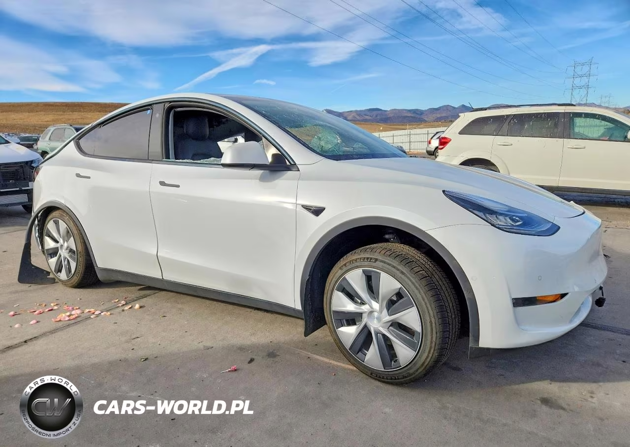2022 Tesla Model Y VIN:7SAYGDEE3NF466611 - 4