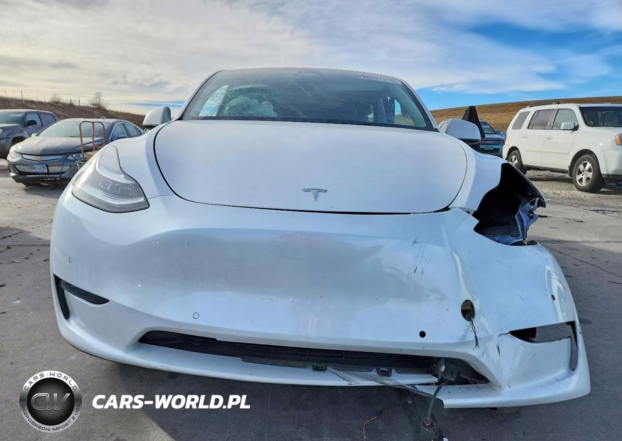 2022 Tesla Model Y VIN:7SAYGDEE3NF466611 - 5