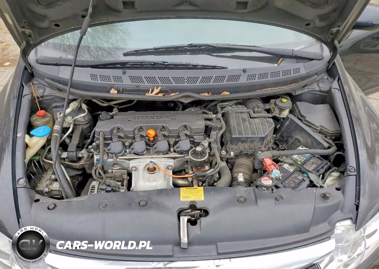 2011 Honda Civic Lx VIN:19XFA1F52BE010118 - 11
