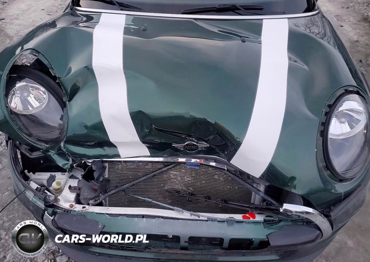 2019 Mini Cooper VIN:WMWXP5C5XK2H30813 - 11
