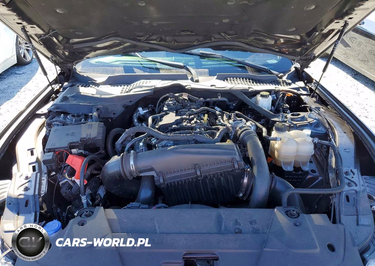 2024 Ford Mustang VIN:1FA6P8TH3R5114750 - 11